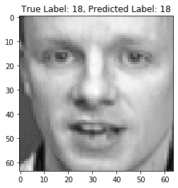 Face prediction sample